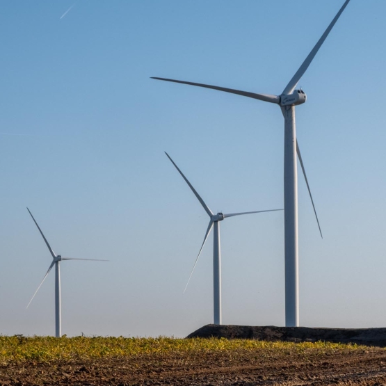 Explorer, partager, s’inspirer