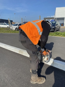 Exosquelettes
