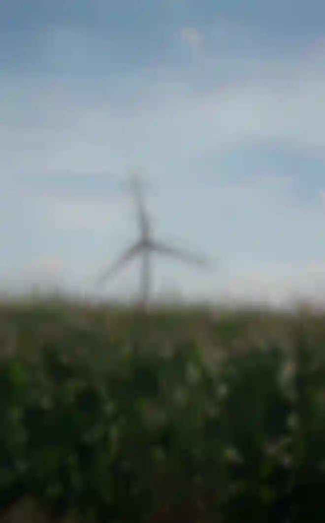 Parc éolien de Château-Porcien : implantation de 5 éoliennes Image 2